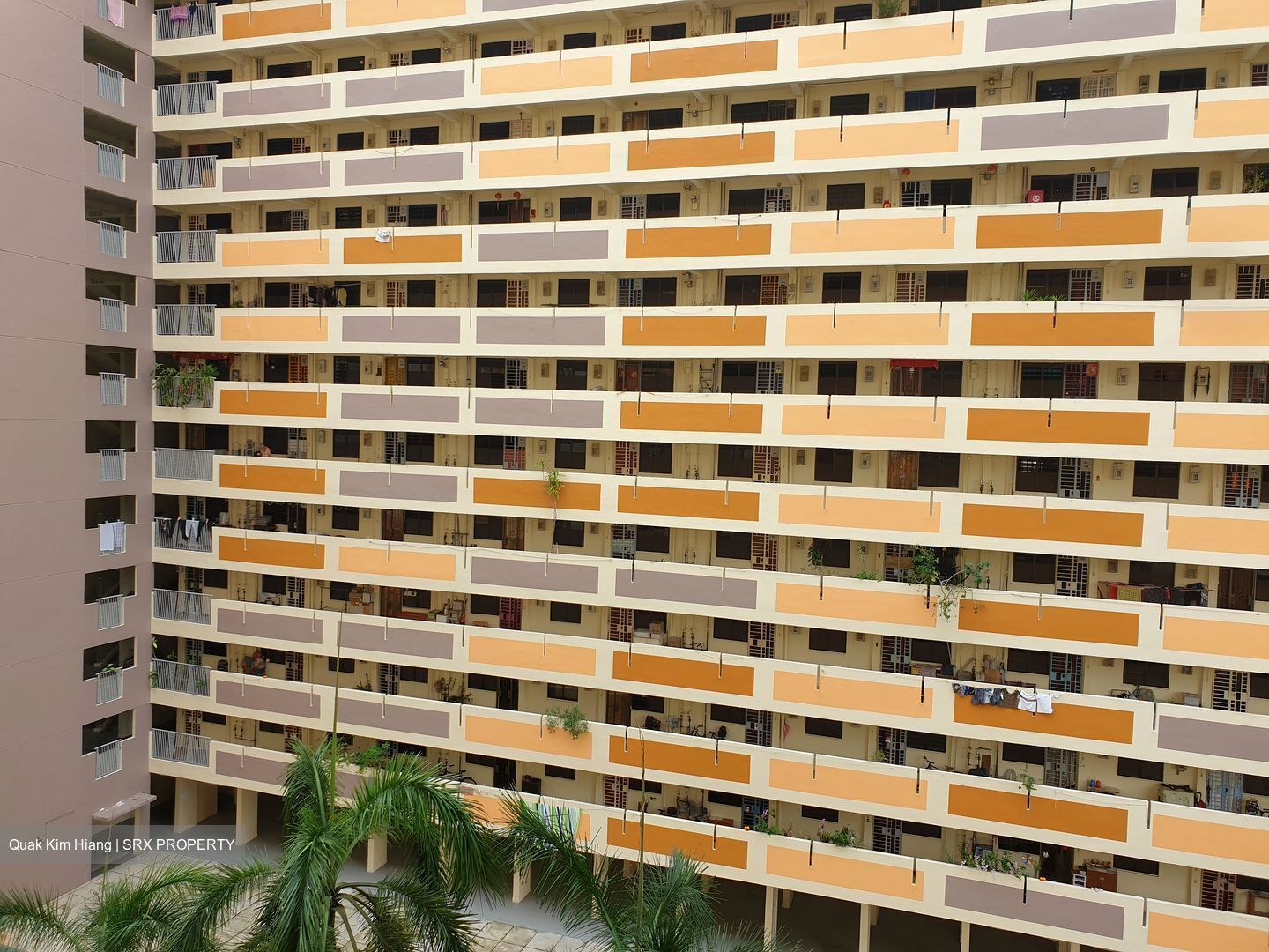 Blk 806 King George's Avenue (Kallang/Whampoa), HDB 3 Rooms #560676921